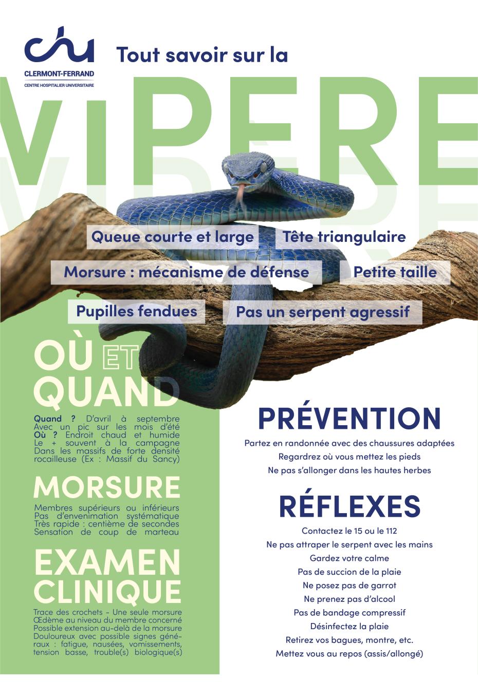 Pr vention Tout Savoir Sur La Vip re CHU Clermont ferrand Pr vention Tout Savoir Sur La Vip re CHU Clermont ferrand